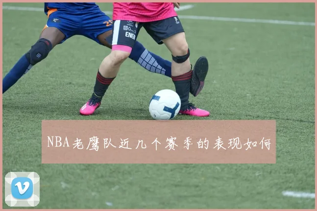 NBA老鹰队近几个赛季的表现如何