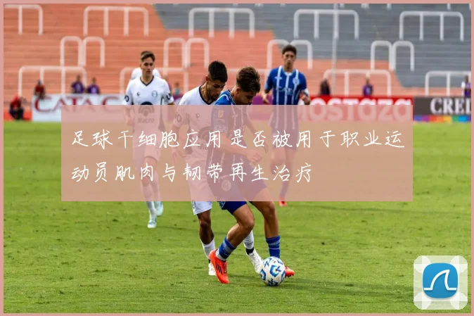 足球干细胞应用是否被用于职业运动员肌肉与韧带再生治疗