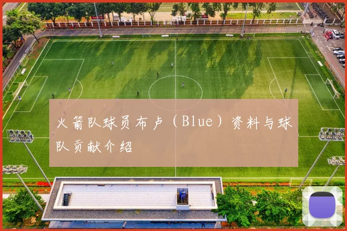 火箭队球员布卢（Blue）资料与球队贡献介绍